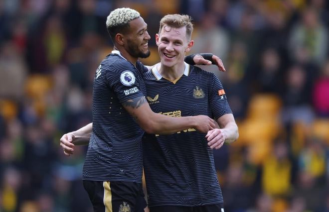 输了想翻本 输了想翻本